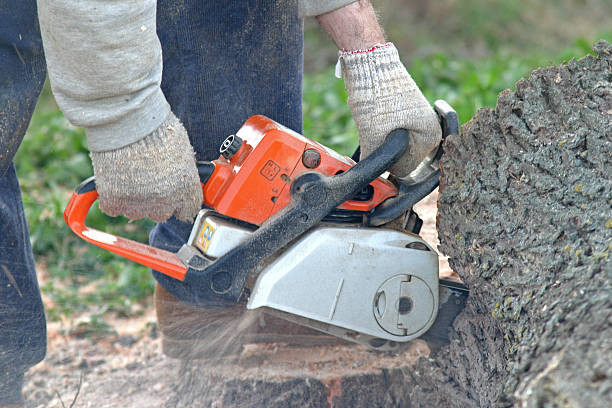 Mulching Services in Hallsville, TX